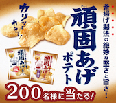 コイケヤ 香ばし塩味 頑固あげポテト 甘辛おこげ醤油味