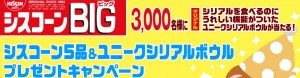 シスコーンBIG 5品 ＆ ユニークシリアルボウル