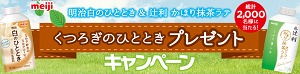 Dyson ホット＋クールファンヒーター AM05 NN / TEMPUR®オリジナルネックピローM / 今治バスタオル / オリジナル図書カード 500円分