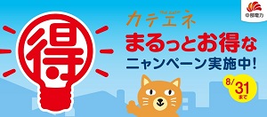 カテエネポイント10,000p 他